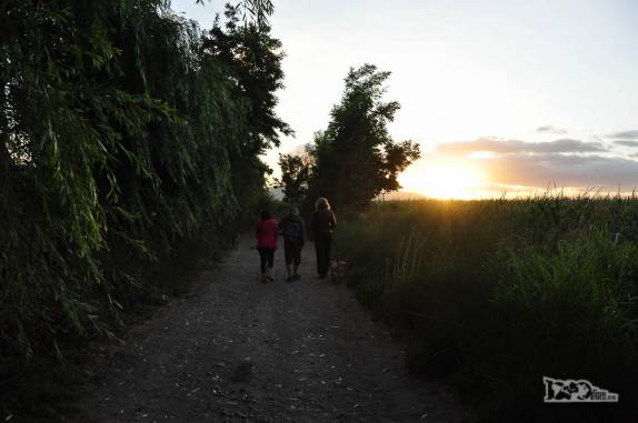 Durante o entardecer, caminhando com o Pablo e a Andrea em fazenda nos arredores de Rengo, ao sul de Santiago, no Chile